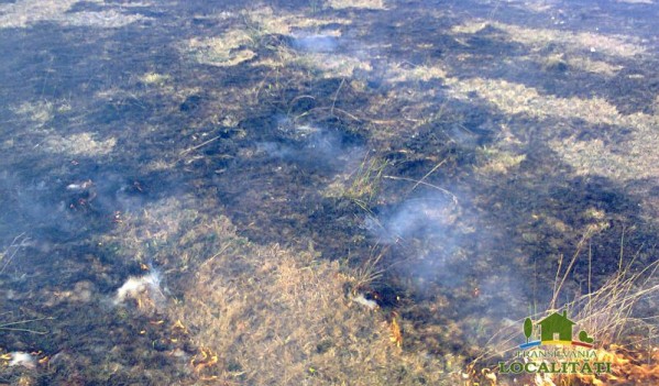 Cinci incendii de vegetație uscată, produse în ultimele 24 de ore în Maramureș Cinci incendii de vegetație uscată, produse în ultimele 24 de ore în Maramureș