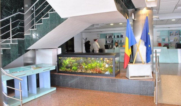 Baia Mare: Activități desfășurate la Biblioteca Județeană “Petre Dulfu” în această săptămână Baia Mare: Activități desfășurate la Biblioteca Județeană “Petre Dulfu” în această săptămână