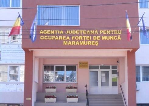 Baia Mare: Bursa locurilor de muncă pentru absolvenți Baia Mare: Bursa locurilor de muncă pentru absolvenți
