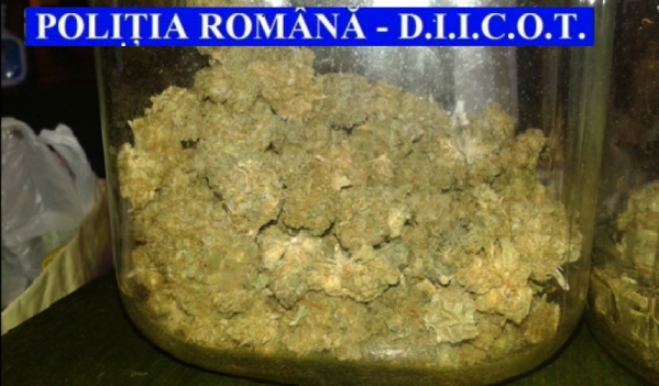 Percheziții în Maramureș la persoane bănuite de trafic de droguri Percheziții în Maramureș la persoane bănuite de trafic de droguri