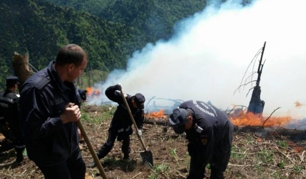 Pompierii militari maramureșeni continuă și astăzi lupta cu flăcările de pe Toroioaga Pompierii militari maramureșeni continuă și astăzi lupta cu flăcările de pe Toroioaga