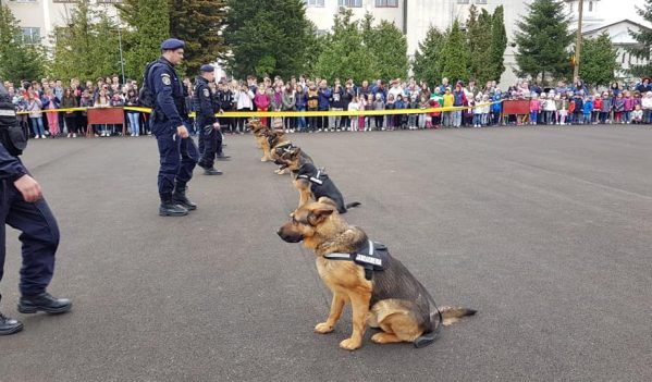 Ziua Porţilor Deschise, la Jandarmeria Maramureș Ziua Porţilor Deschise, la Jandarmeria Maramureș