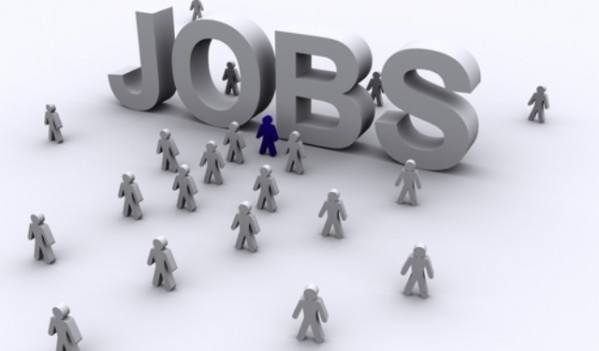 304 locuri de muncă vacante în Maramureș 304 locuri de muncă vacante în Maramureș