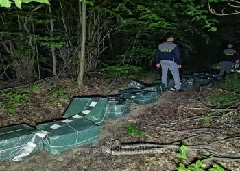 Focuri de armă și peste 16.000 pachete cu țigări confiscate la graniţa cu Ucraina