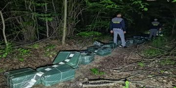 Focuri de armă și peste 16.000 pachete cu țigări confiscate la graniţa cu Ucraina