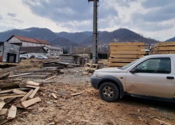 Acțiunea Scutul Pădurii 2022 în Maramureș