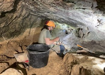 Noi descoperiri arheologice în Peștera „Șura Dracului”