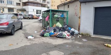 Drusal reia activitatea de strângere a gunoiului în Baia Mare