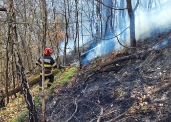 Șase hectare de vegetație uscată au ars pe Dealul Crucii din Baia Mare
