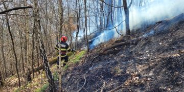 Șase hectare de vegetație uscată au ars pe Dealul Crucii din Baia Mare