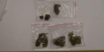 Droguri descoperite în Vadu Izei